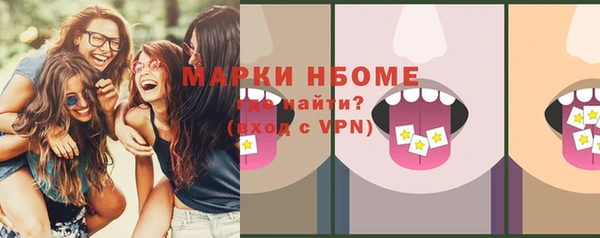 прущий лед Бородино