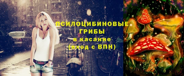 стаф Белоозёрский
