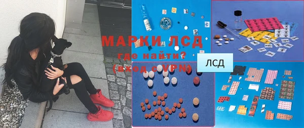 прущий лед Бородино