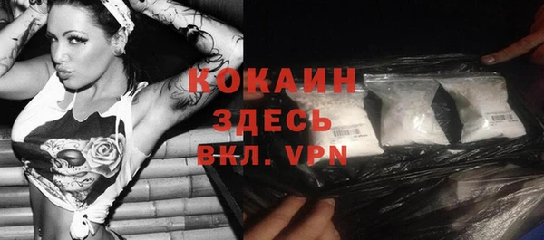 дживик Верея