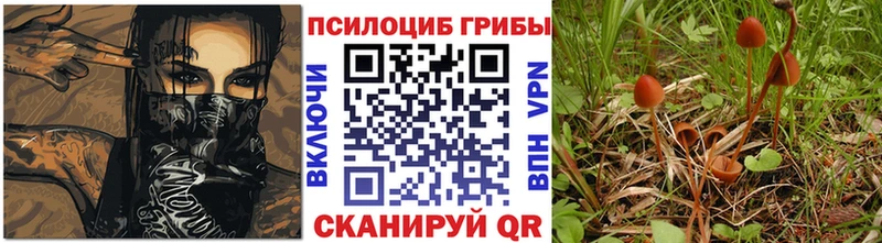 Псилоцибиновые грибы GOLDEN TEACHER  даркнет наркотические препараты  Гусиноозёрск 