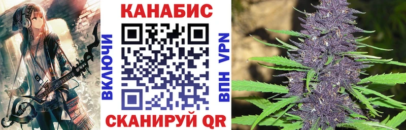 купить наркотики сайты  Гусиноозёрск  Конопля сатива 